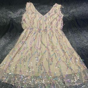 Southern fried chicks Sequin dress